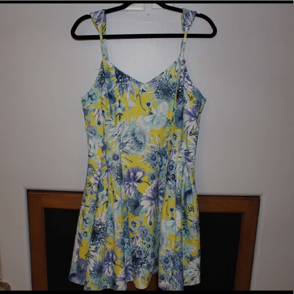 Floral Skater Dress